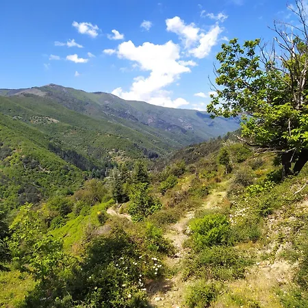 La Grenouille Alojamento de Acomodação e Pequeno-almoço 3*