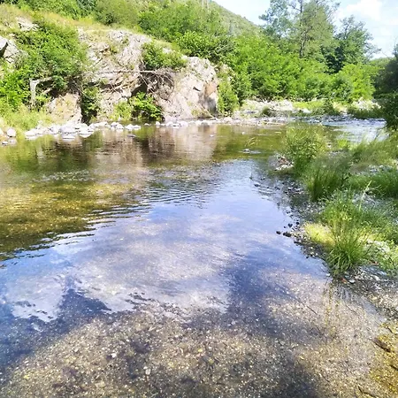 La Grenouille Valleraugue