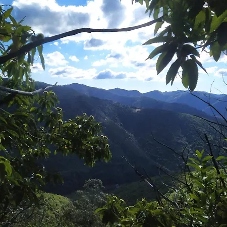 Alojamento de Acomodação e Pequeno-almoço La Grenouille