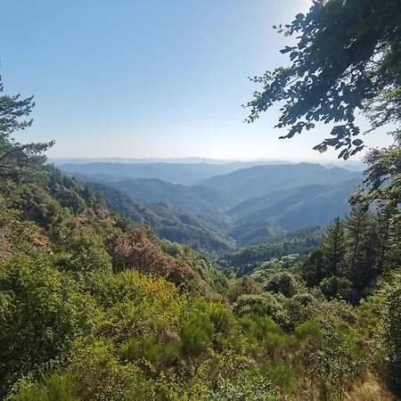 La Grenouille فاليراوغ