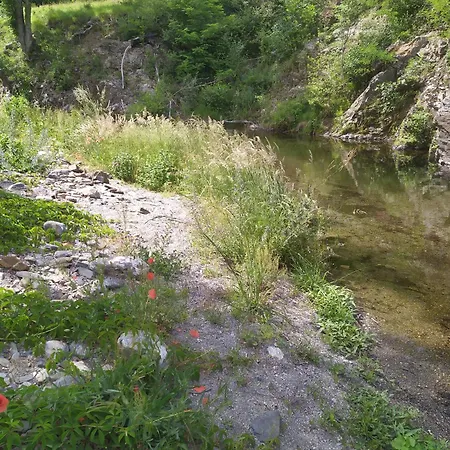 La Grenouille Valleraugue