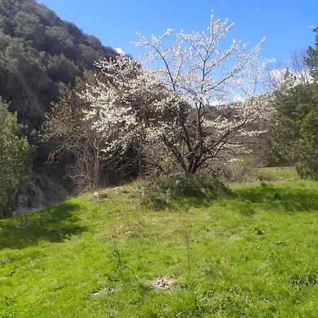 La Grenouille فندق مبيت وإفطار فاليراوغ