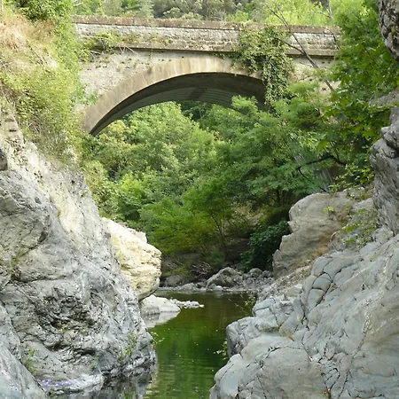 La Grenouille