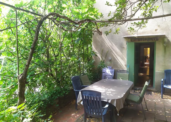 La Grenouille Valleraugue