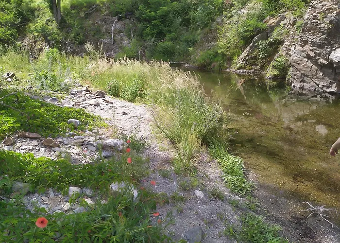 La Grenouille Valleraugue